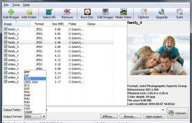 Pixillion Image Converter Software de2